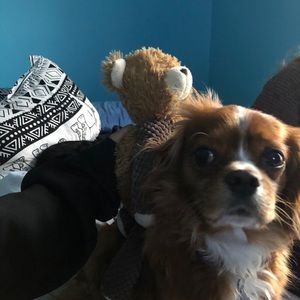 Meet your Posher, Ashley